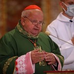 Gowin: Kardynał Dziwisz powinien odpowiadać przed trybunałem kościelnym. Nie dziwią mnie doniesienia na jego temat